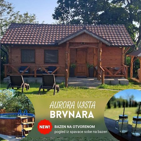 Brvnara Aurora Vista Villa Velika Remeta Dış mekan fotoğraf