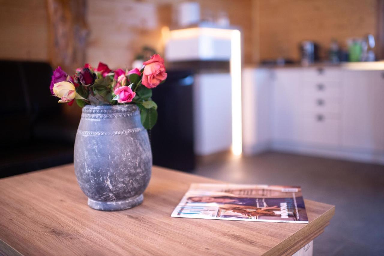 Brvnara Aurora Vista Villa Velika Remeta Dış mekan fotoğraf
