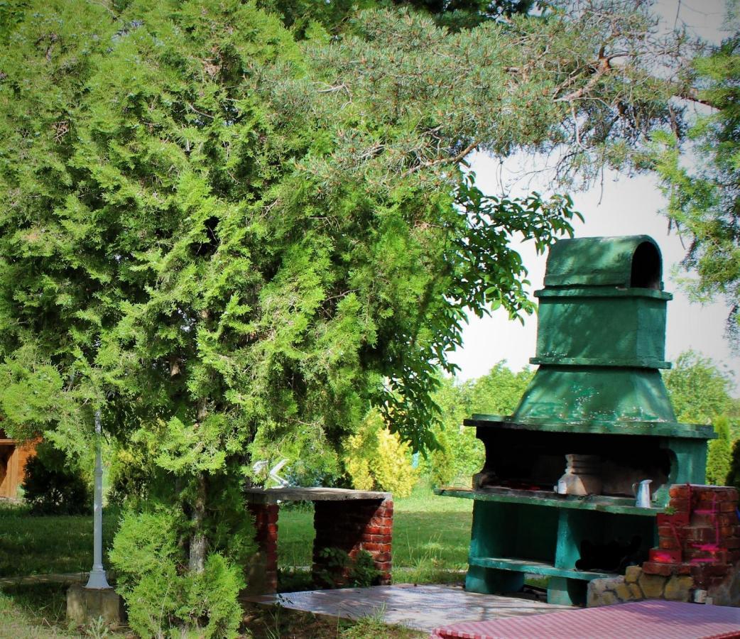 Brvnara Aurora Vista Villa Velika Remeta Dış mekan fotoğraf