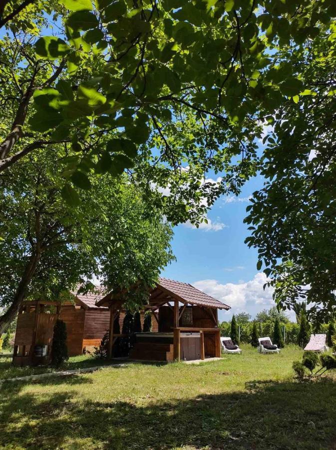 Brvnara Aurora Vista Villa Velika Remeta Dış mekan fotoğraf
