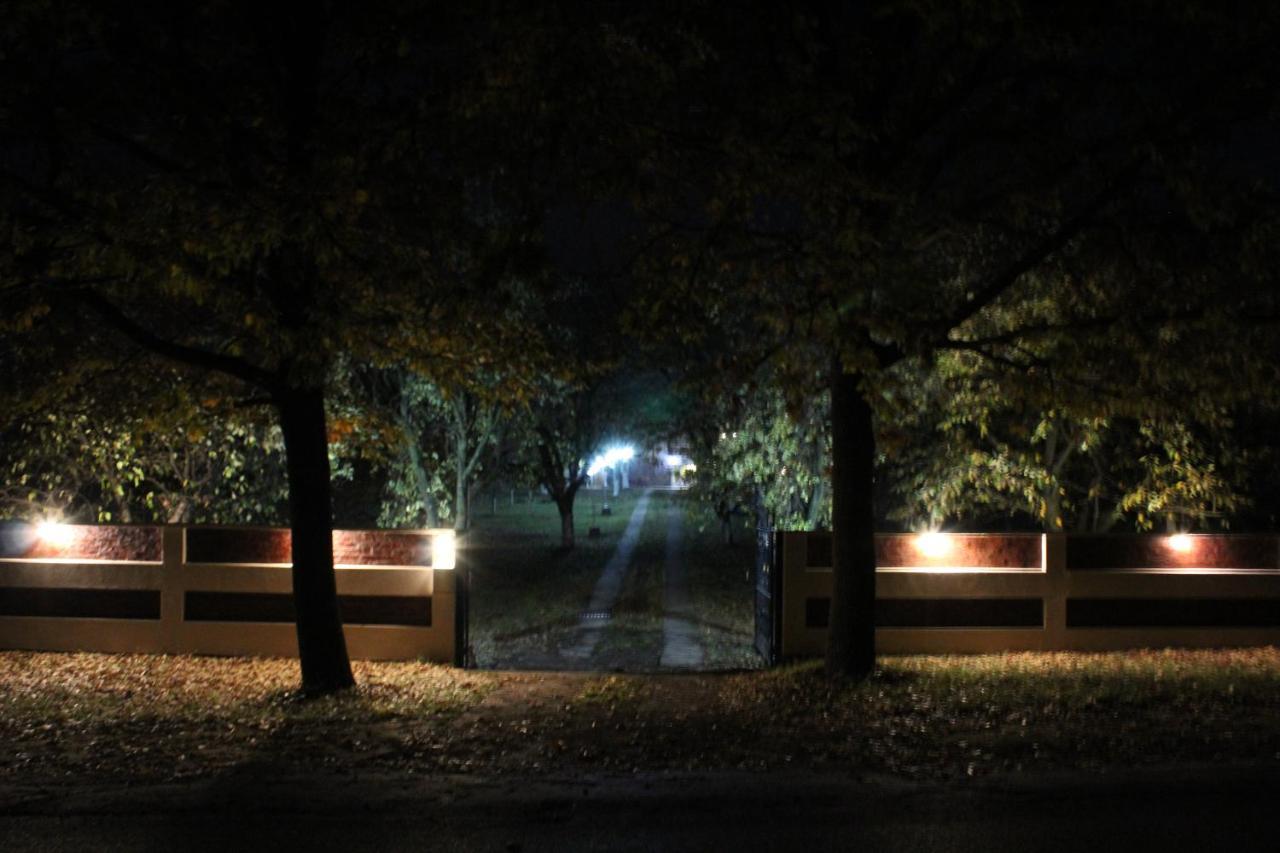 Brvnara Aurora Vista Villa Velika Remeta Dış mekan fotoğraf