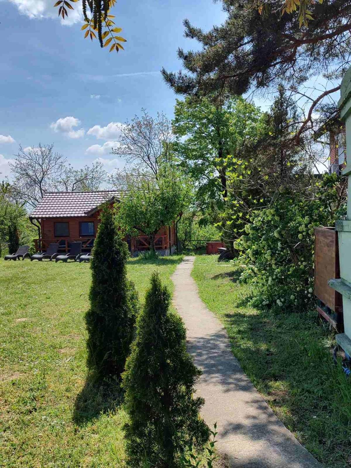 Brvnara Aurora Vista Villa Velika Remeta Dış mekan fotoğraf